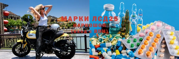 эйфоретик Тайга