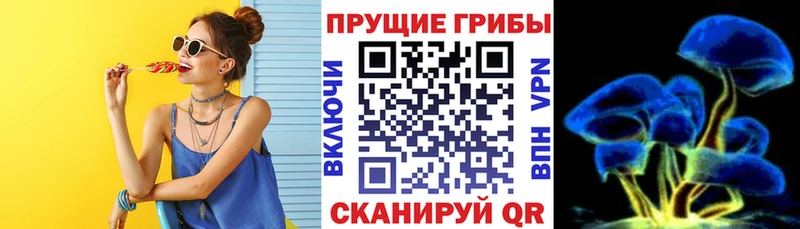 Купить где  Вяземский  Псилоцибиновые грибы ЛСД 