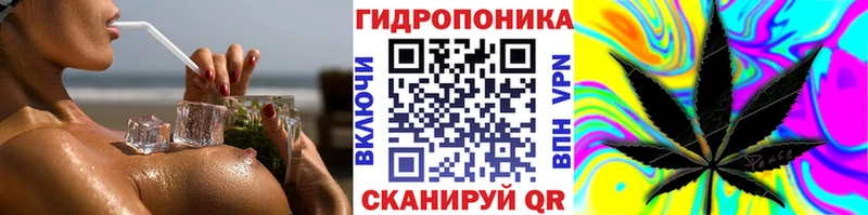 Купить закладки  Вяземский  Шишки марихуана White Widow 